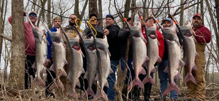 Bluff City Outdoors