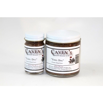 Cavens Yodel Dog