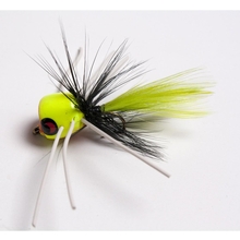 Betts Bee Hop
