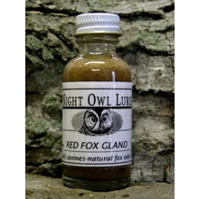 Night Owl Red Fox Gland