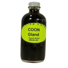 Dunlap's Coon Gland Lure