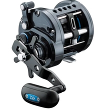 Daiwa Saltist® Levelwind Reels