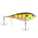 MF Bluegill