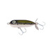 Baby Bass