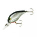 76 - Silver Minnow Sparkle